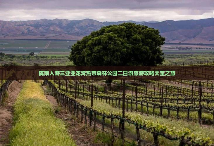 陇南前往三亚亚龙湾热带森林公园二日游