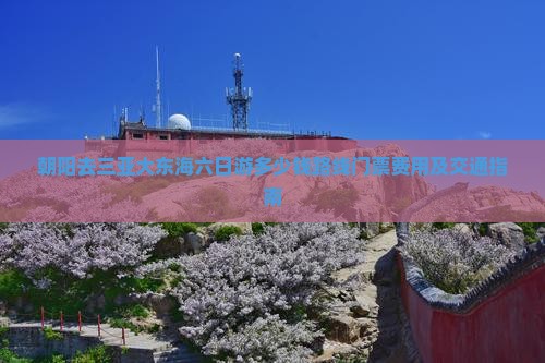 朝阳去三亚大东海六日游