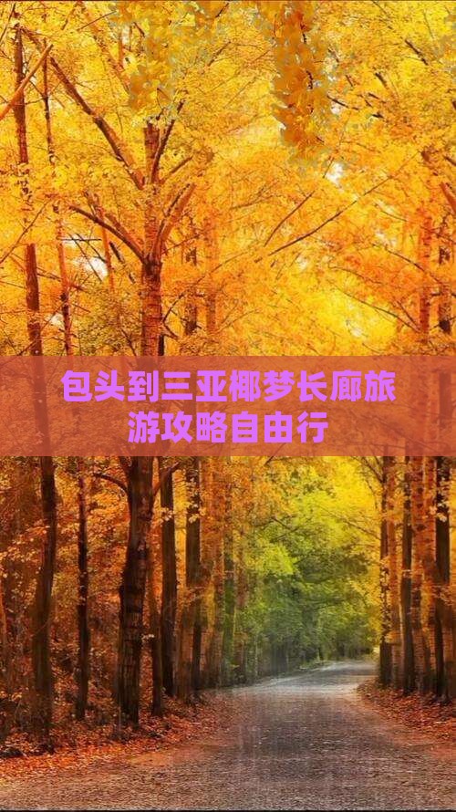包头前往三亚椰梦长廊自由团