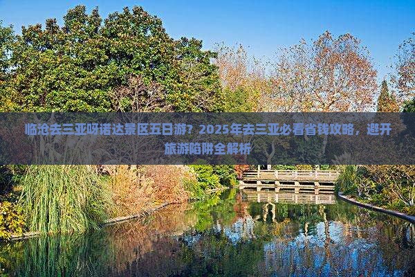 临沧去三亚呀诺达景区五日游