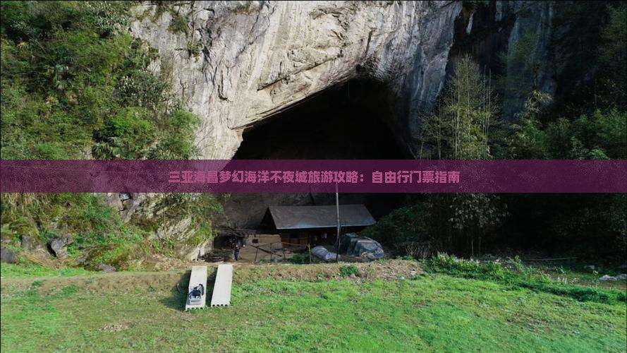 吉安前往三亚海昌梦幻海洋不夜城自由团