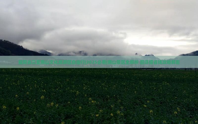 益阳去三亚南山文化旅游区自由行