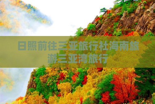 日照前往三亚三亚湾旅行社