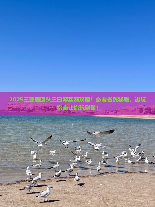 唐山出发三亚鹿回头三日游