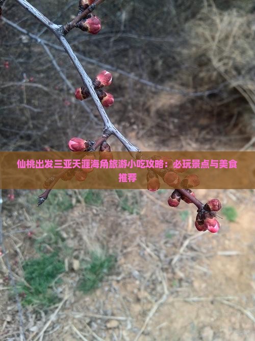 仙桃出发三亚天涯海角旅游小吃