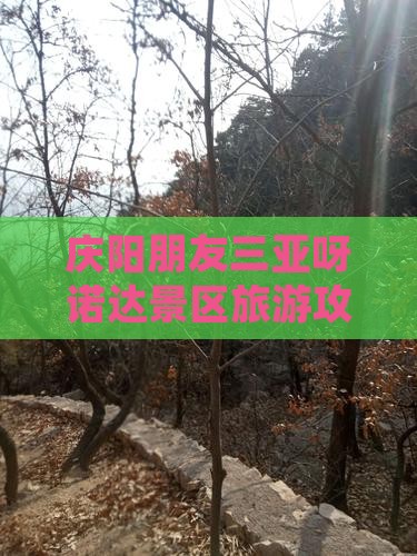 庆阳去三亚呀诺达景区旅游