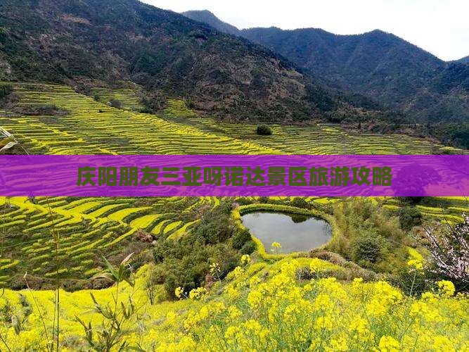 庆阳去三亚呀诺达景区旅游