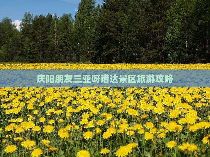 庆阳去三亚呀诺达景区旅游