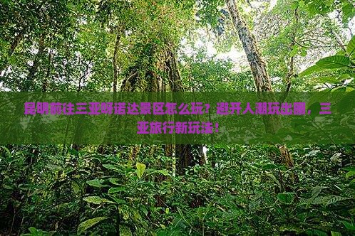 昆明前往三亚呀诺达景区哪里玩 昆明前往三亚呀诺达景区哪里玩