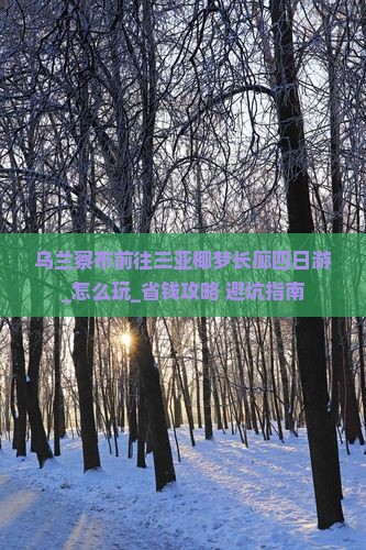 乌兰察布前往三亚椰梦长廊四日游