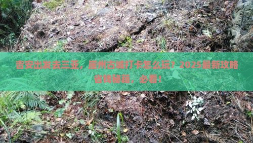 吉安出发三亚崖洲古城旅游打卡点