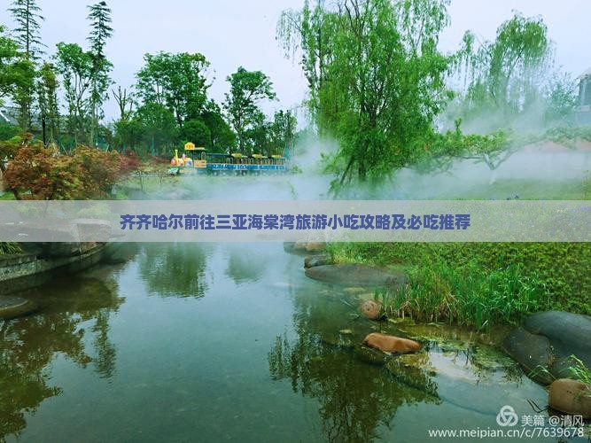 齐齐哈尔前往三亚海棠湾旅游小吃