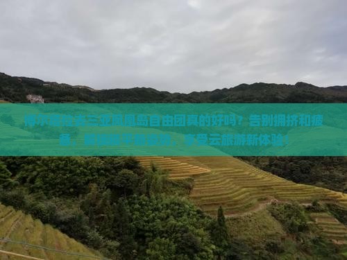 博尔塔拉去三亚凤凰岛自由团