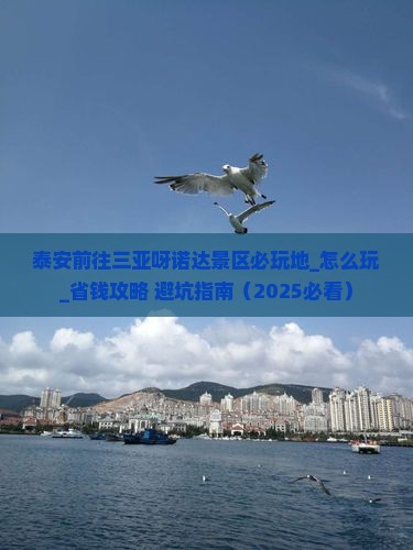 泰安前往三亚呀诺达景区必玩地