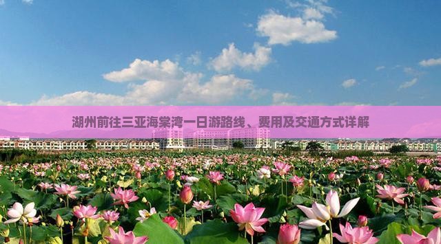湖州前往三亚海棠湾一日游