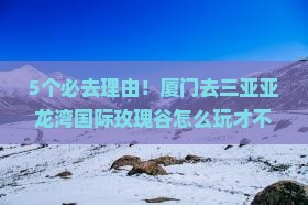 厦门前往三亚亚龙湾国际玫瑰谷必玩地