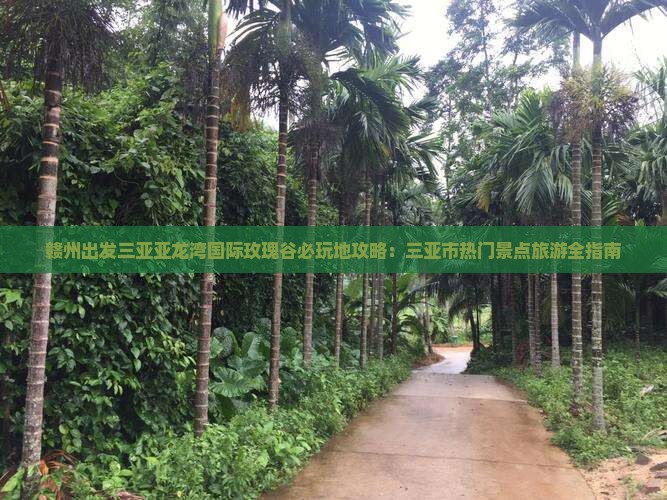 赣州出发三亚亚龙湾国际玫瑰谷必玩地