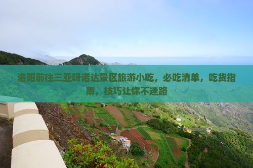 洛阳前往三亚呀诺达景区旅游小吃