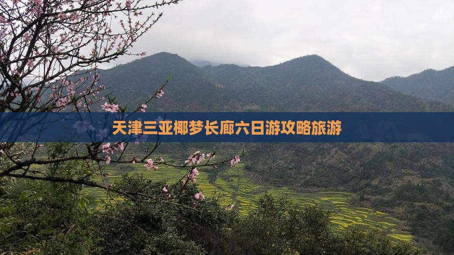 天津出发三亚椰梦长廊六日游