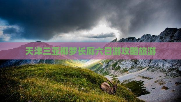 天津出发三亚椰梦长廊六日游
