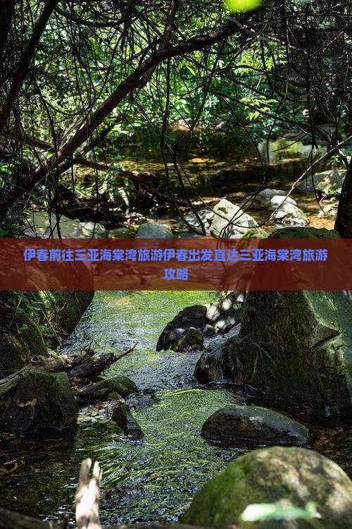 伊春前往三亚海棠湾旅游