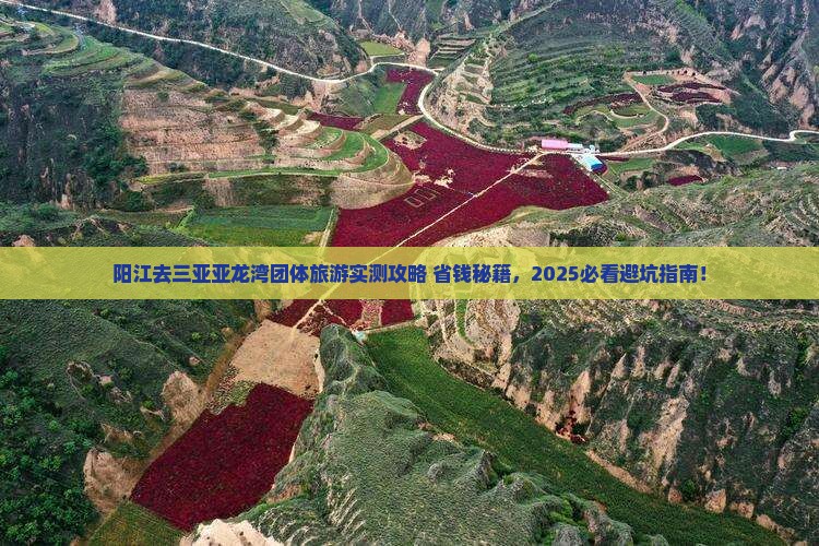 阳江去三亚亚龙湾团体旅游