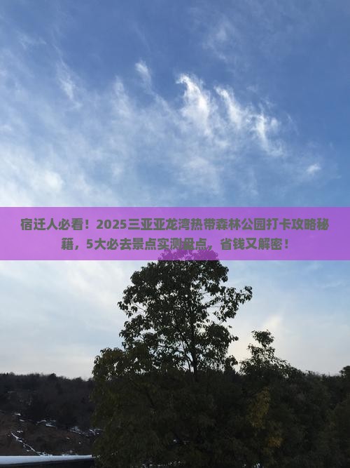 宿迁去三亚亚龙湾热带森林公园旅游打卡点