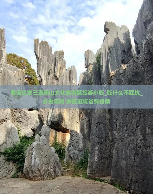 鹰潭出发三亚南山文化旅游区旅游小吃