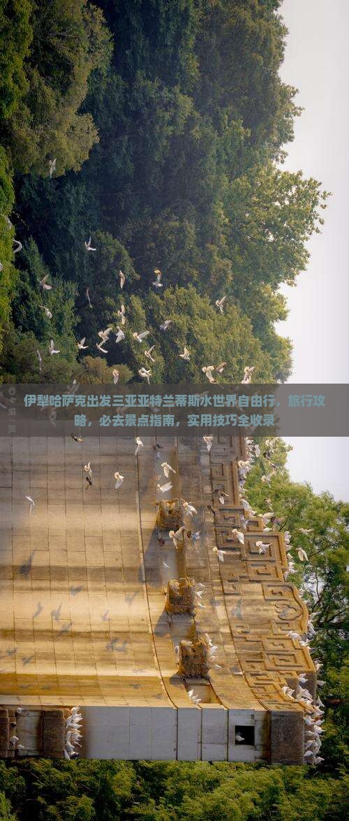 伊犁哈萨克出发三亚亚特兰蒂斯水世界自由行