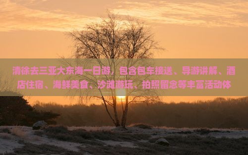 清徐去三亚大东海一日游