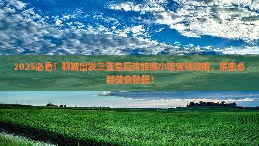 聊城前往三亚皇后湾旅游小吃