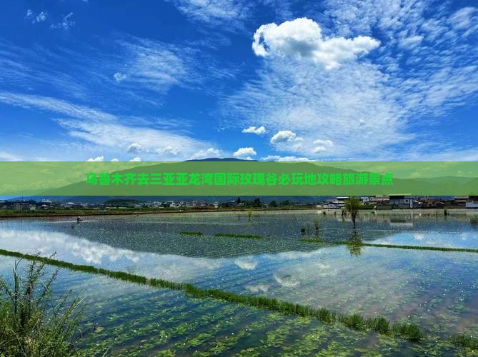 乌鲁木齐去三亚亚龙湾国际玫瑰谷必玩地