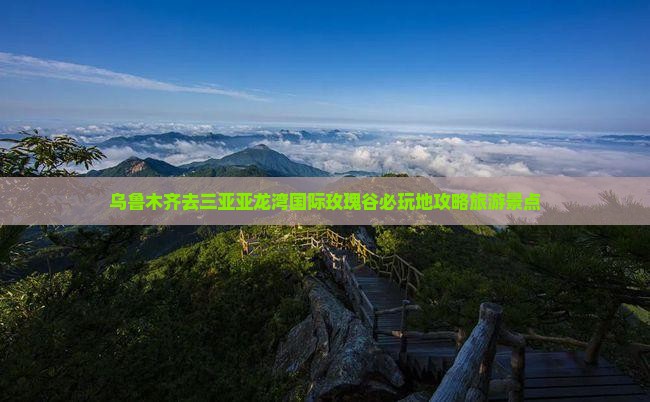 乌鲁木齐去三亚亚龙湾国际玫瑰谷必玩地