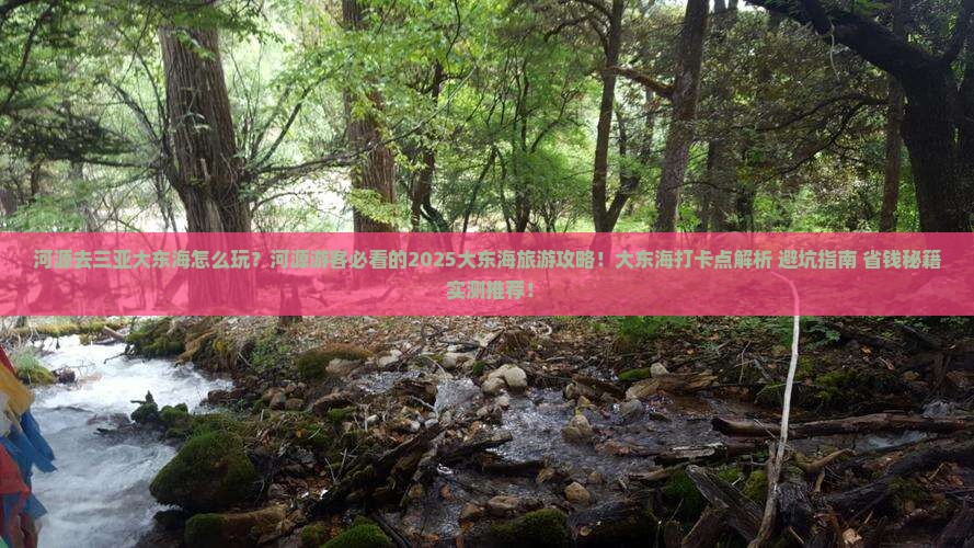 河源去三亚大东海旅游打卡点