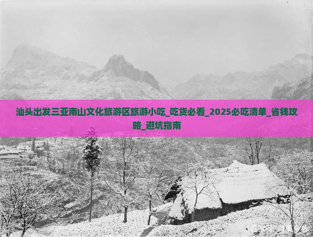 汕头出发三亚南山文化旅游区旅游小吃