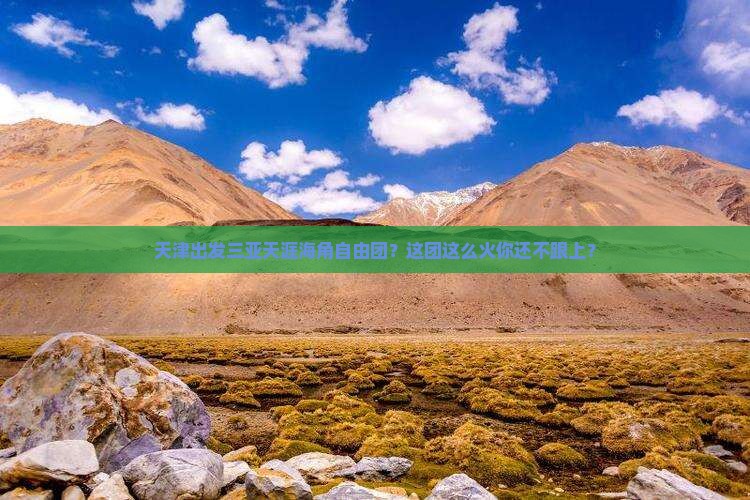 天津出发三亚天涯海角自由团
