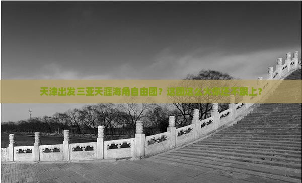 天津出发三亚天涯海角自由团