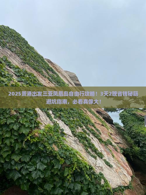贵港出发三亚凤凰岛自由行