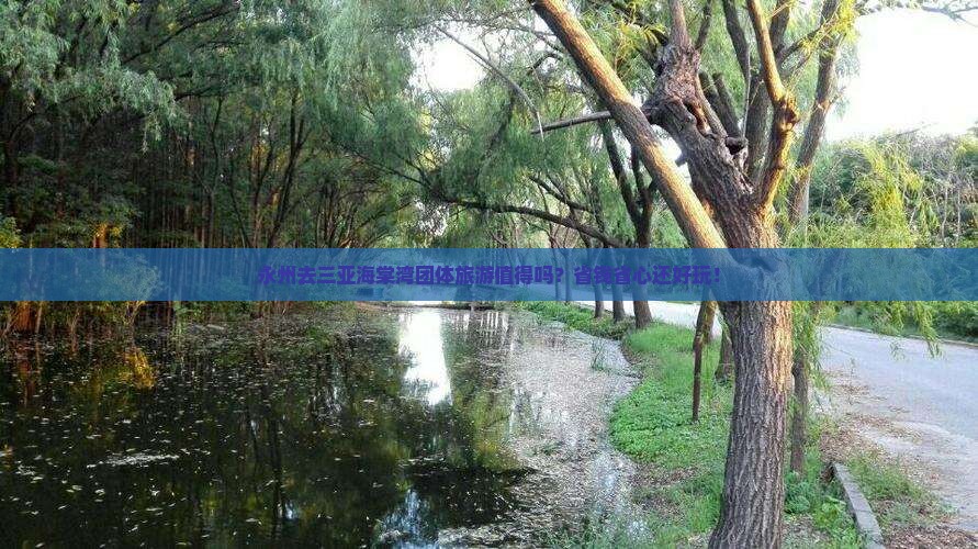 永州去三亚海棠湾团体旅游