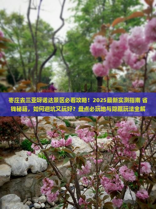 枣庄去三亚呀诺达景区必玩地