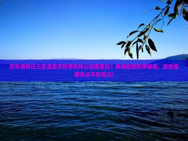 黔东南前往三亚亚龙湾热带森林公园哪里玩