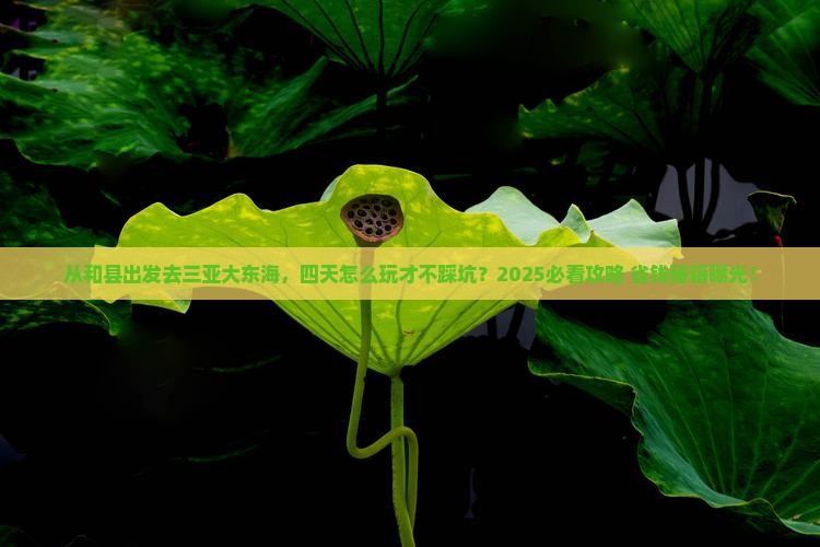 和县出发三亚大东海四日游 和县出发三亚大东海四日游