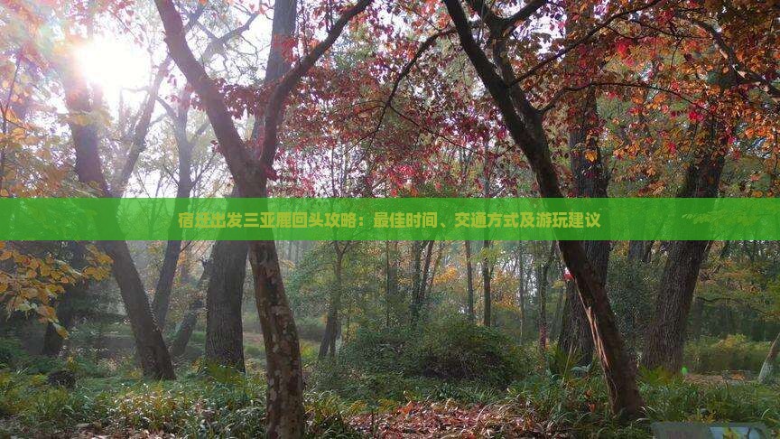 宿迁出发三亚鹿回头攻略