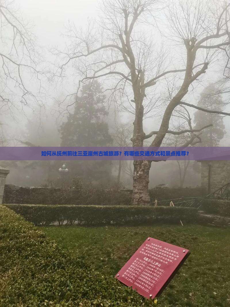 抚州去三亚崖洲古城旅游