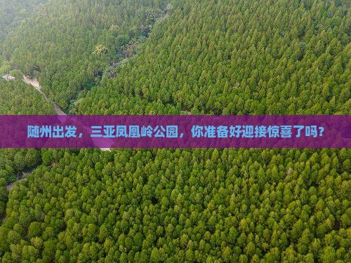 随州前往三亚凤凰岭公园旅游