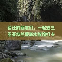 宿迁去三亚亚特兰蒂斯水族馆团体旅游