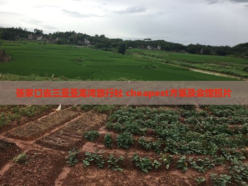 张家口去三亚亚龙湾旅行社