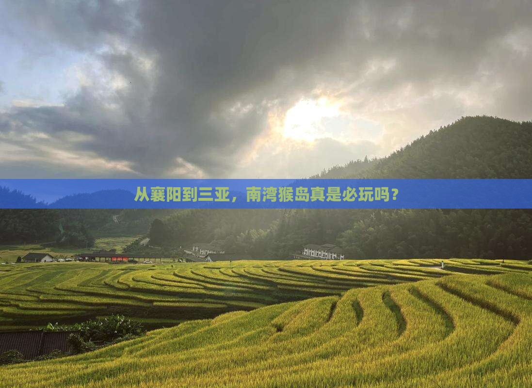 襄阳出发三亚南湾猴岛必玩地