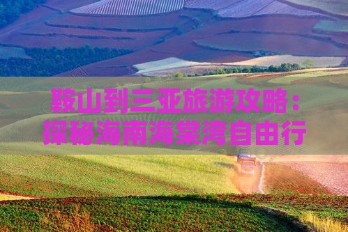 鞍山前往三亚海棠湾自由团