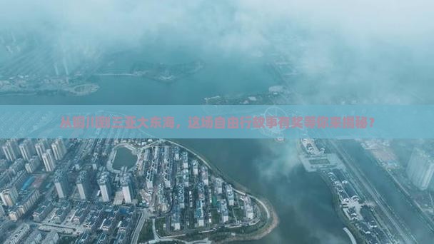 铜川出发三亚大东海自由团